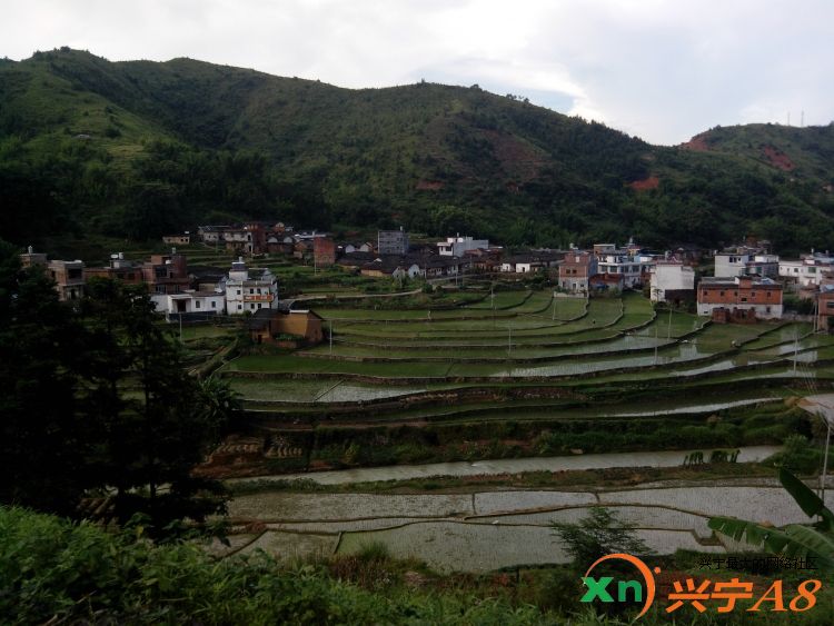 兴宁黄槐谢屋山山景