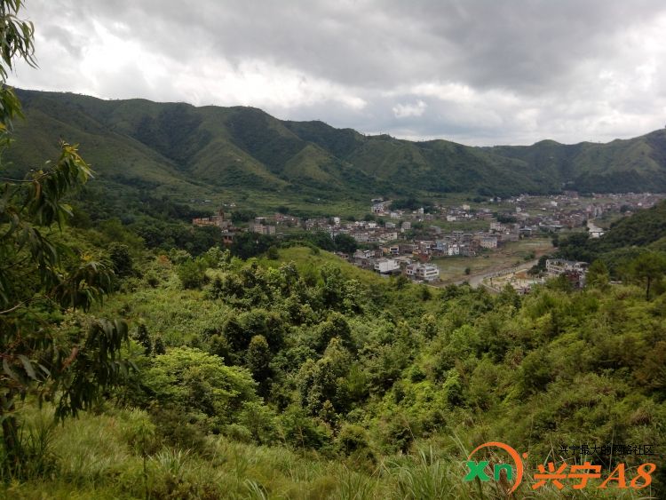 兴宁黄槐谢屋山山景